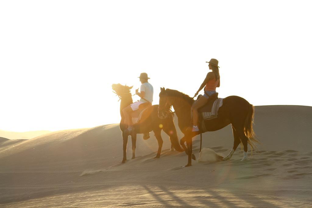 Hotel Dunas